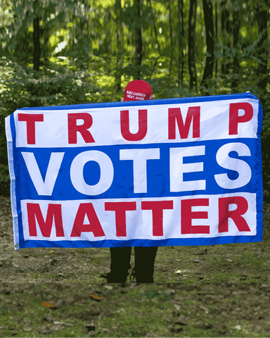 Trump Votes Matter Flag